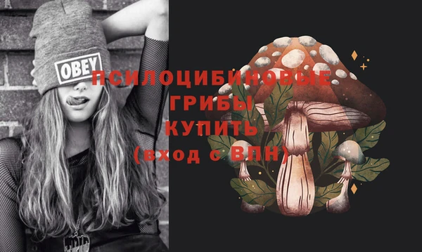 ешки Бугульма