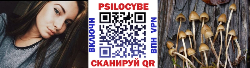 Галлюциногенные грибы мицелий  Кировск 