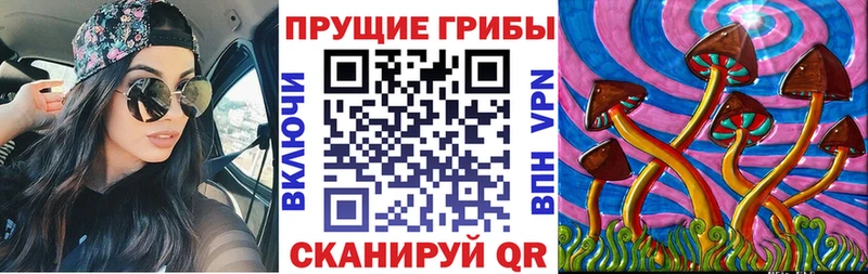 Псилоцибиновые грибы GOLDEN TEACHER Кировск